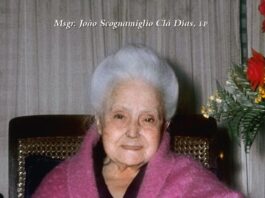 Dona Lucilia cover